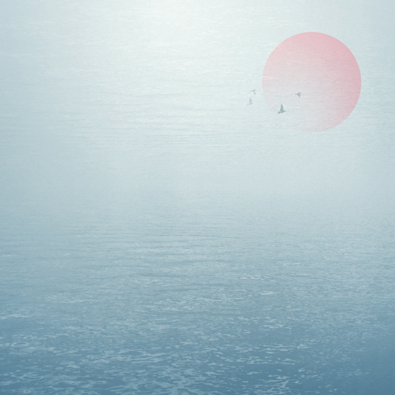 Voyage